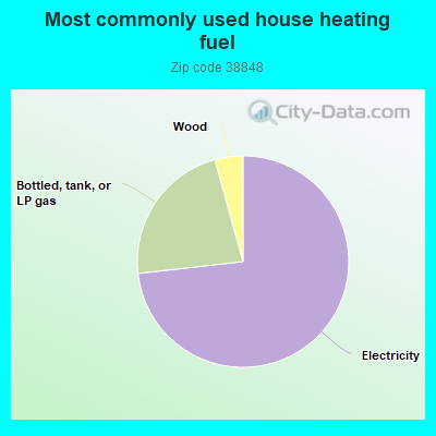 Most commonly used house heating fuel