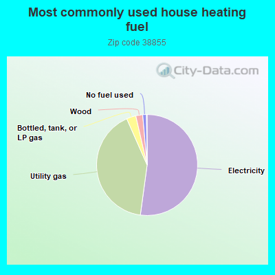 Most commonly used house heating fuel