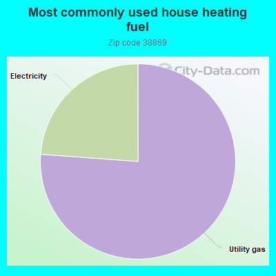 Most commonly used house heating fuel