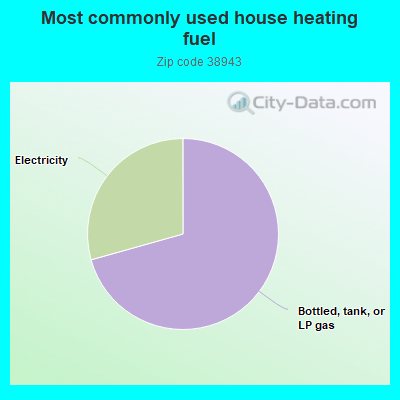 Most commonly used house heating fuel