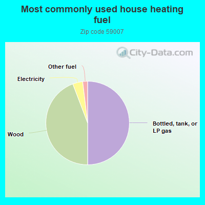 Most commonly used house heating fuel