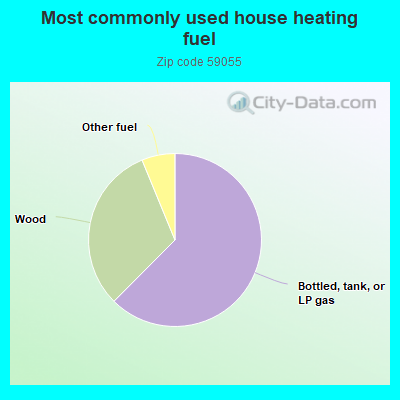 Most commonly used house heating fuel