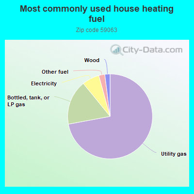 Most commonly used house heating fuel