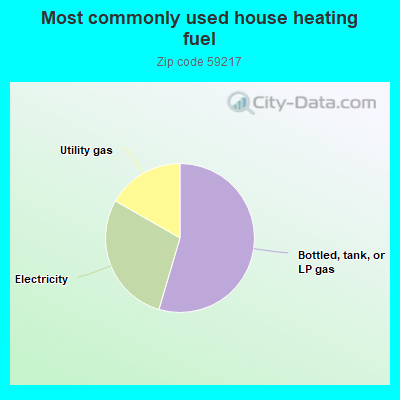 Most commonly used house heating fuel