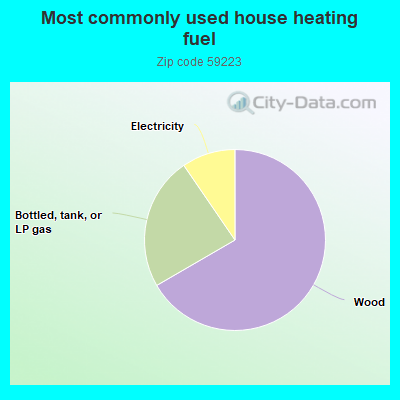 Most commonly used house heating fuel