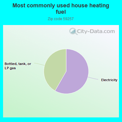 Most commonly used house heating fuel