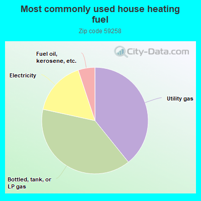 Most commonly used house heating fuel