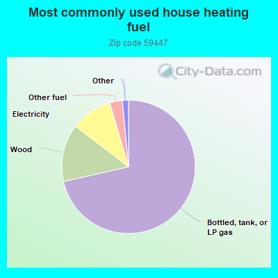 Most commonly used house heating fuel