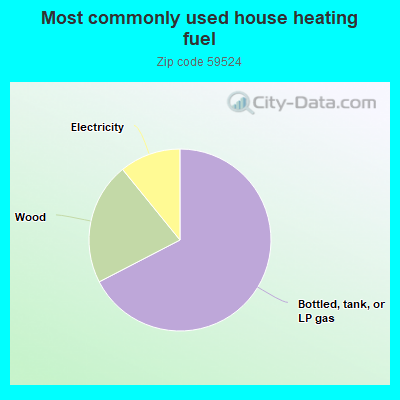 Most commonly used house heating fuel