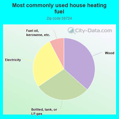 Most commonly used house heating fuel