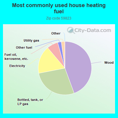 Most commonly used house heating fuel