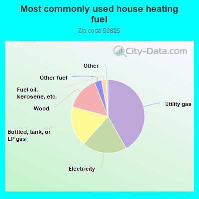 Most commonly used house heating fuel