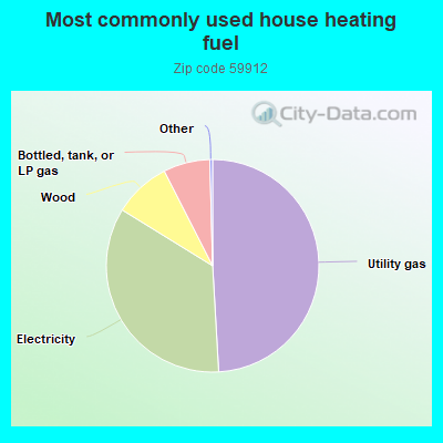 Most commonly used house heating fuel