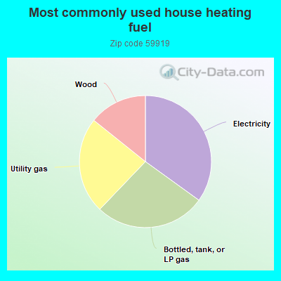 Most commonly used house heating fuel