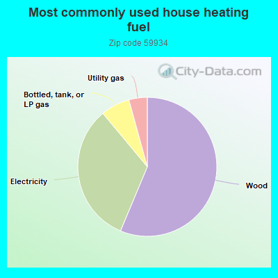 Most commonly used house heating fuel