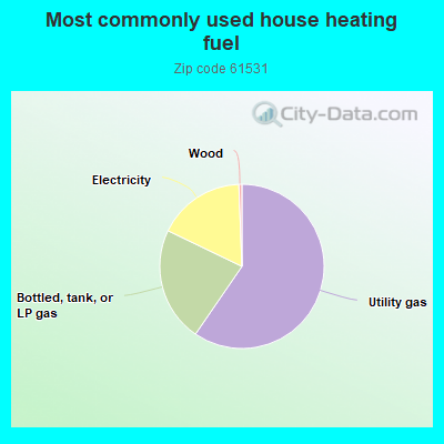 Most commonly used house heating fuel