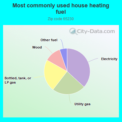 Most commonly used house heating fuel