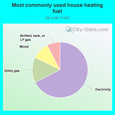 Most commonly used house heating fuel