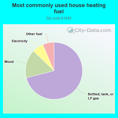 Most commonly used house heating fuel