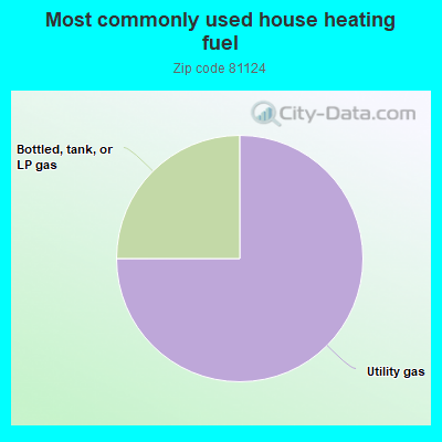 Most commonly used house heating fuel