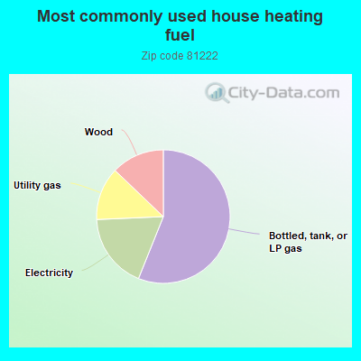 Most commonly used house heating fuel