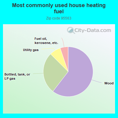 Most commonly used house heating fuel