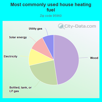 Most commonly used house heating fuel