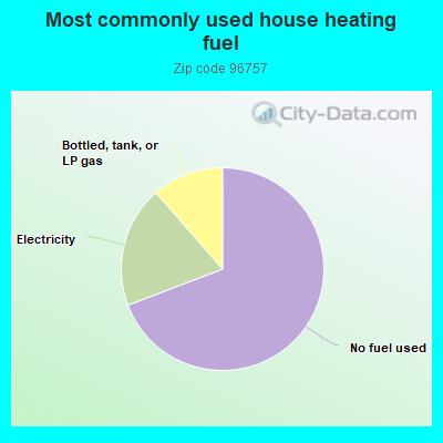 Most commonly used house heating fuel