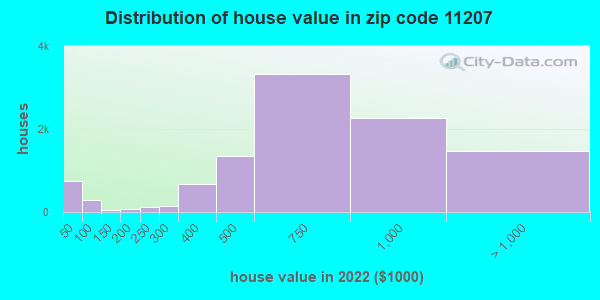 11207-zip-code-new-york-new-york-profile-homes-apartments