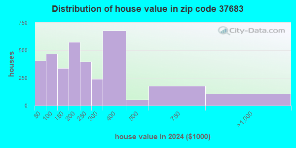 37683 Zip Code (Mountain City, Tennessee) Profile - homes, apartments ...