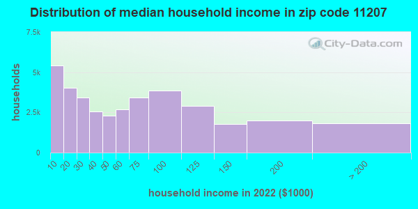 11207-zip-code-new-york-new-york-profile-homes-apartments