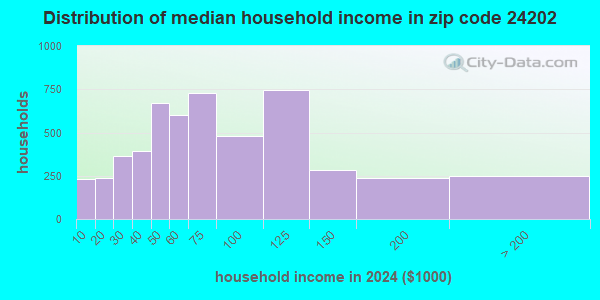 24202 Zip Code (Bristol, Virginia) Profile - homes, apartments, schools ...