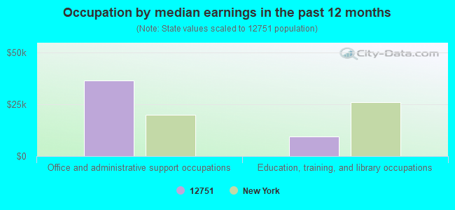 Occupation by median earnings in the past 12 months