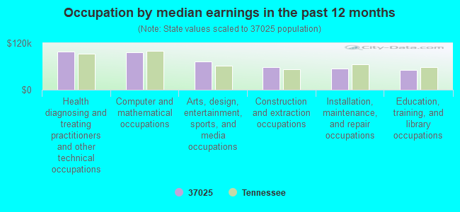 Occupation by median earnings in the past 12 months