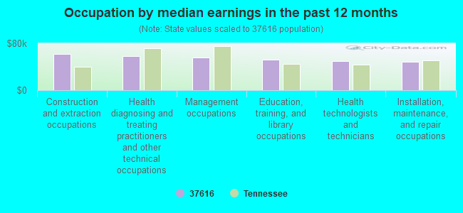 Occupation by median earnings in the past 12 months