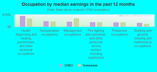 Occupation by median earnings in the past 12 months