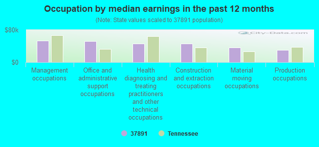 Occupation by median earnings in the past 12 months