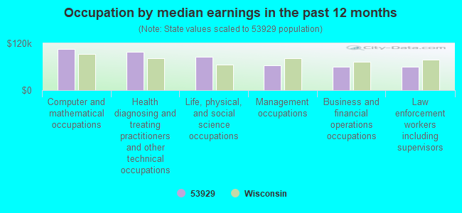 Occupation by median earnings in the past 12 months