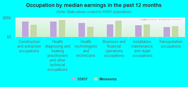 Occupation by median earnings in the past 12 months