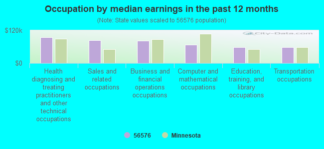 Occupation by median earnings in the past 12 months