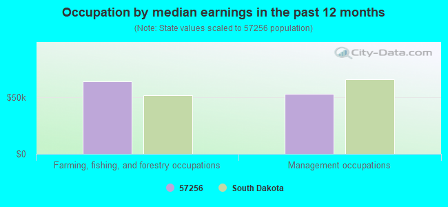 Occupation by median earnings in the past 12 months