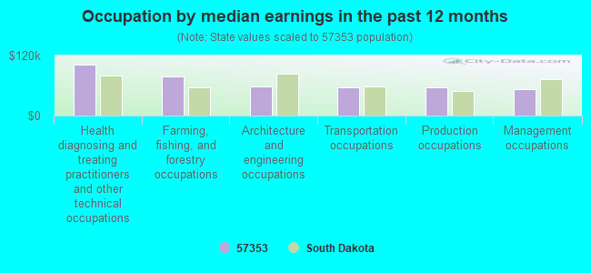 Occupation by median earnings in the past 12 months