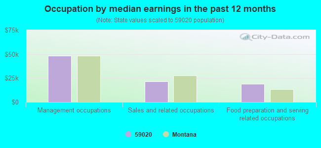 Occupation by median earnings in the past 12 months