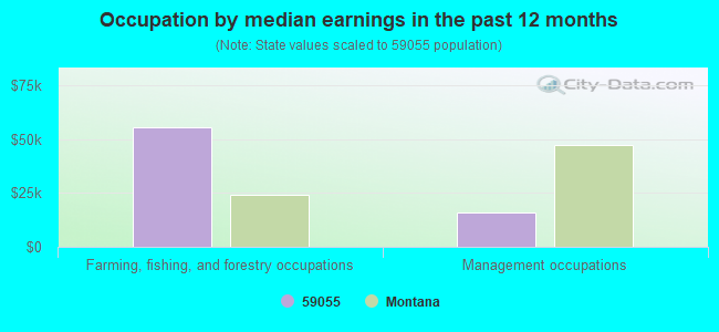 Occupation by median earnings in the past 12 months