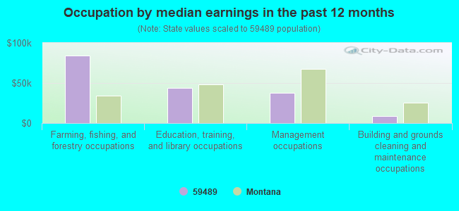 Occupation by median earnings in the past 12 months