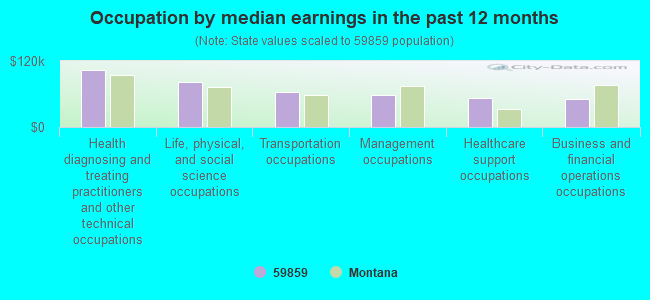 Occupation by median earnings in the past 12 months