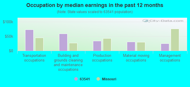 Occupation by median earnings in the past 12 months