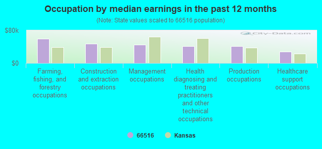 Occupation by median earnings in the past 12 months