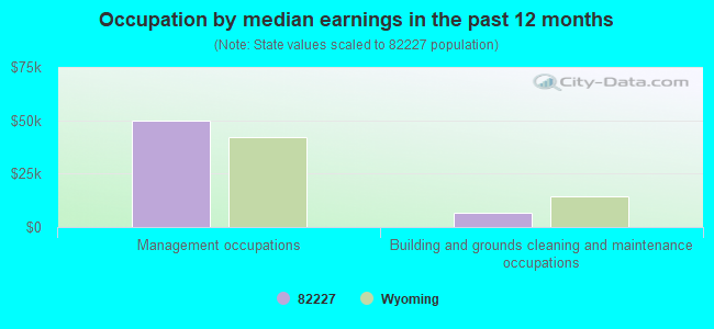 Occupation by median earnings in the past 12 months