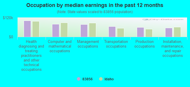 Occupation by median earnings in the past 12 months